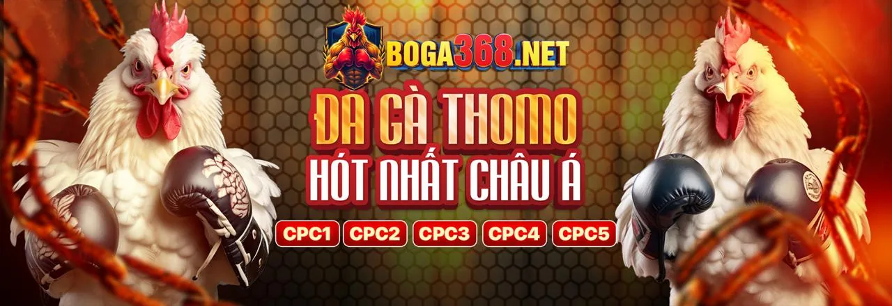 Hình ảnh đại diện dịch vụ hỗ trợ khách hàng qh88 link vào
